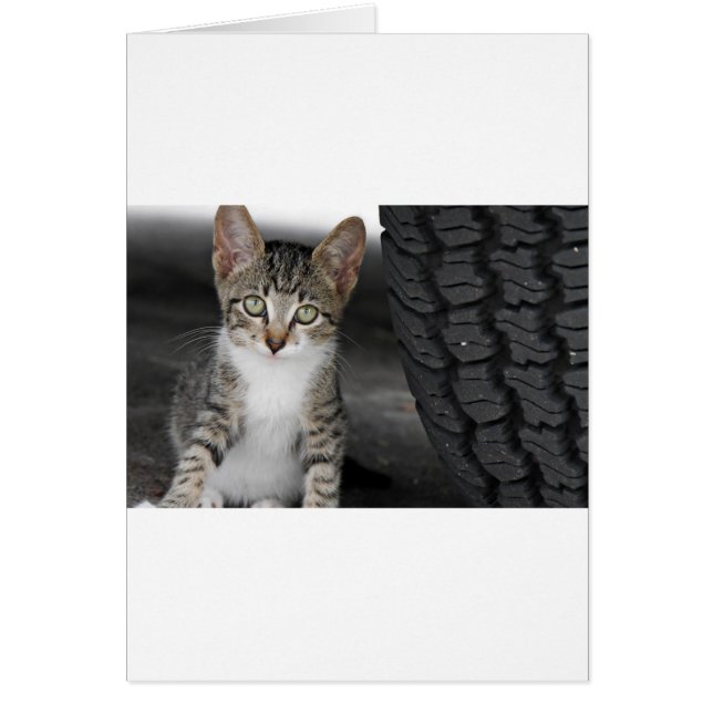 Cartão Kitty.JPG (Frente)