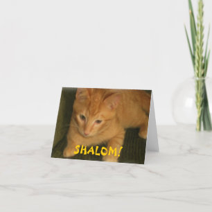 Cartão Kitty "SHALOM" Jewish Greeting Card