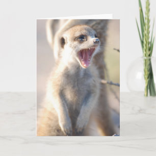 Cartão KMP Card 18 - Yawning Nugget