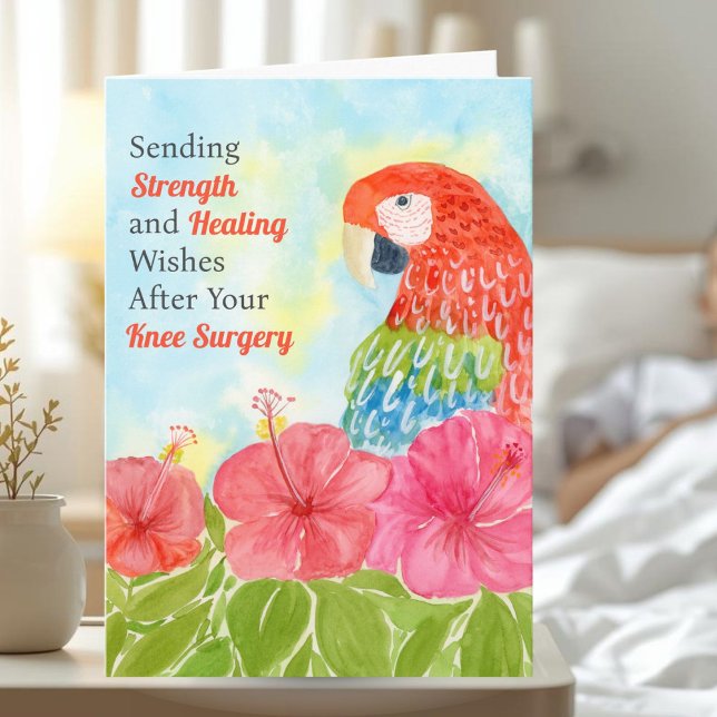 Cartão Knee Surgery Healing with Scarlet Macaws, Hibiscus (Criador carregado)