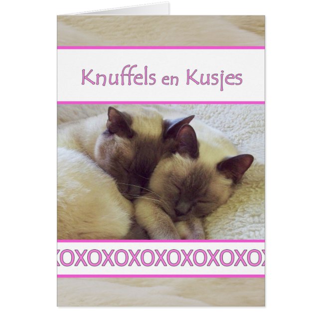 Cartão Knuffels en Kusjes, Hug e Kiss em neerlandês (Frente)