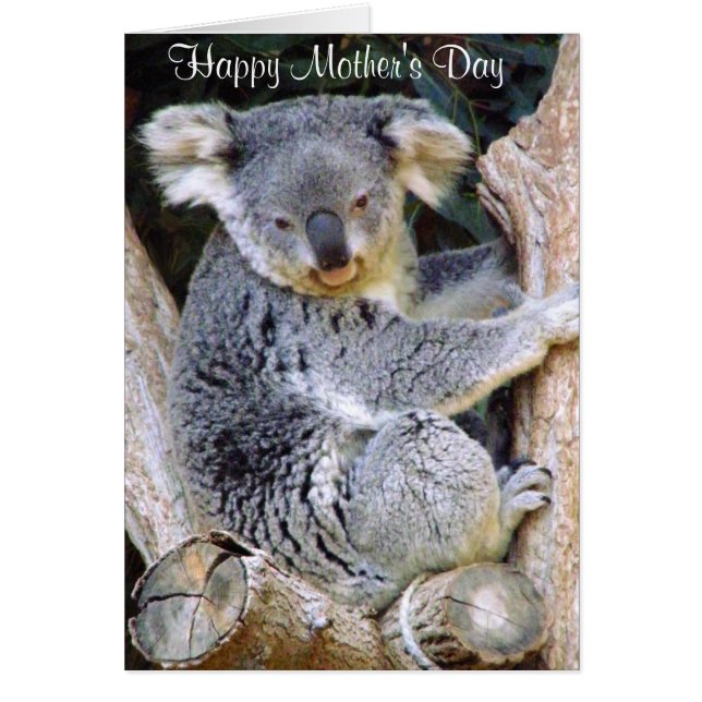 Cartão Koala Bear Love (Frente)