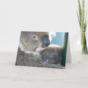 Cartão Koala Bears