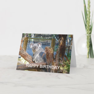 Cartão Koala Birthday