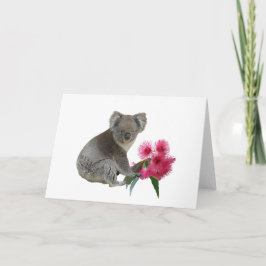 Cartão Koala e Eucalyptus