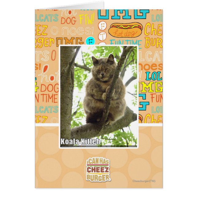 Cartão Koala KITH (Frente)