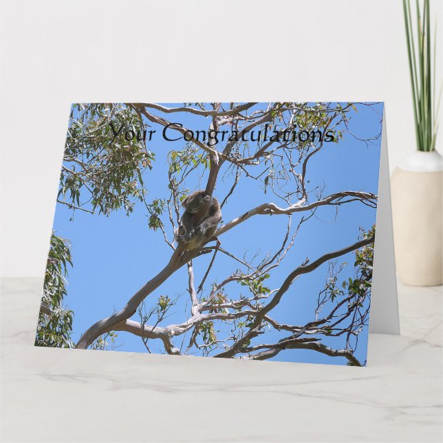 Cartão Koala Nap (Frente)