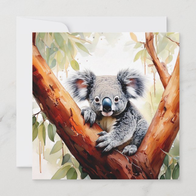 Cartão Koala Sentado em uma árvore de chiclete (Frente)