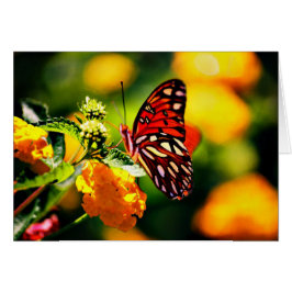 Cartão Koinonia "bolsa de estudo no trajeto "