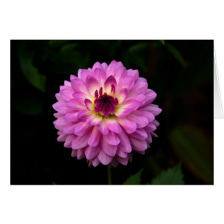 Cartão Koinonia "Fellowship On the Path"