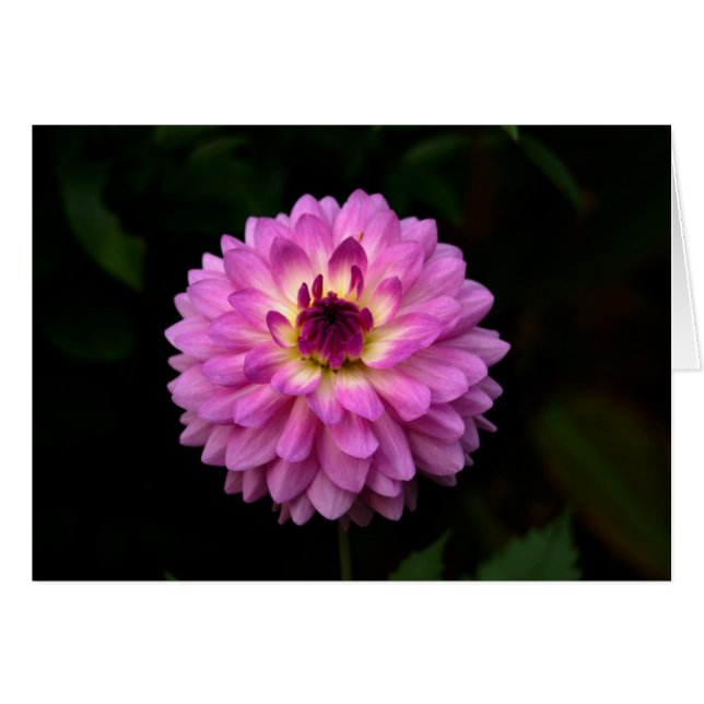 Cartão Koinonia "Fellowship On the Path" (Frente horizontal)