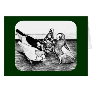 Cartão Komorner Tumbler Quartet