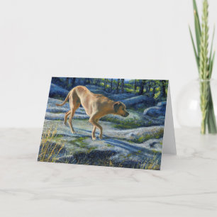 Cartão “Kona on the Granite Trail”