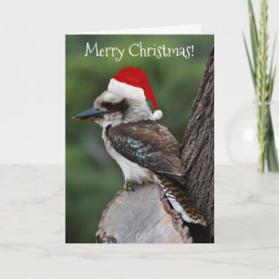 Cartão Kookaburra Bird Animal Red Santa Hat Christmas