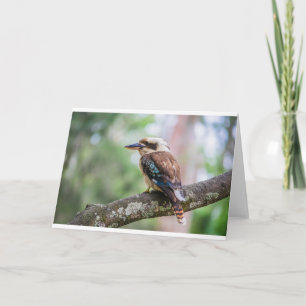 Cartão Kookaburra no galho
