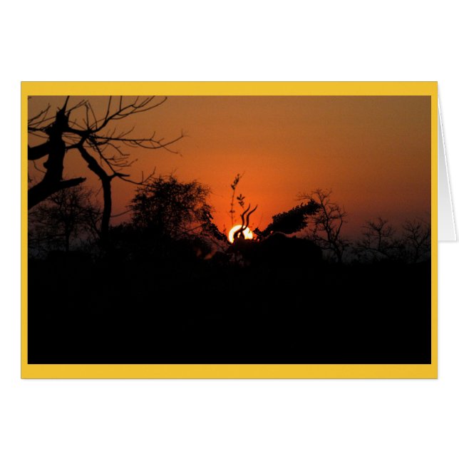 Cartão Kudu Sunset (Frente Horizontal)