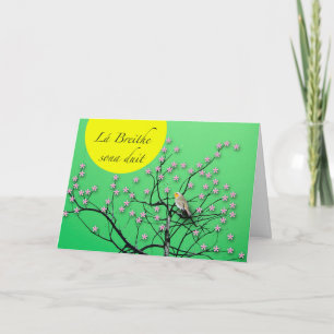 Cartão Lá Breithe sona duit Irish Birthday com Robin