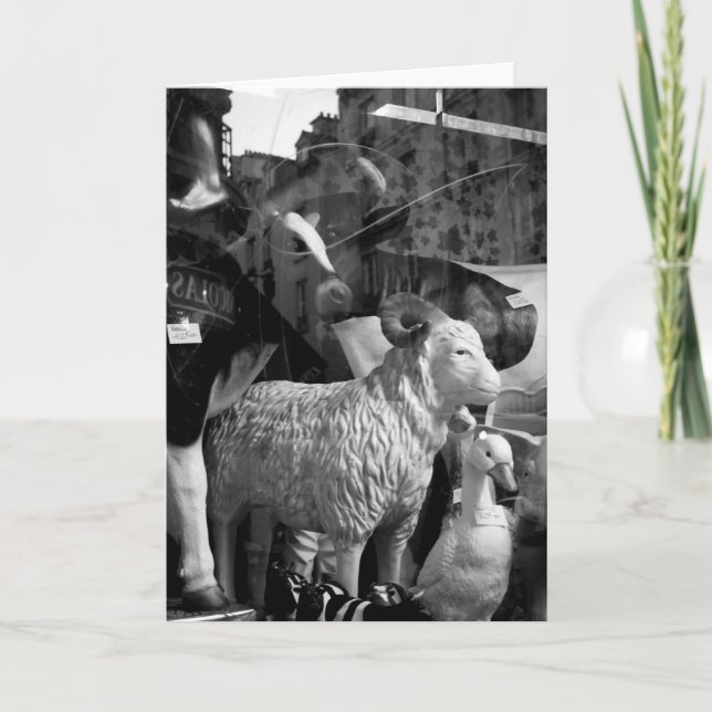 Cartão La Campagne à Paris rue Daguerre Ovinos Vacas (Frente)