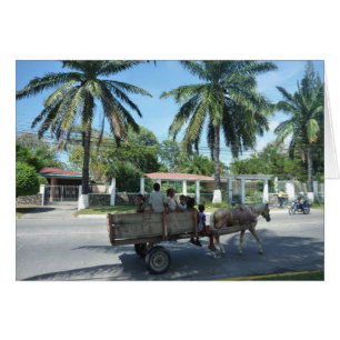 Cartão la ceiba cart