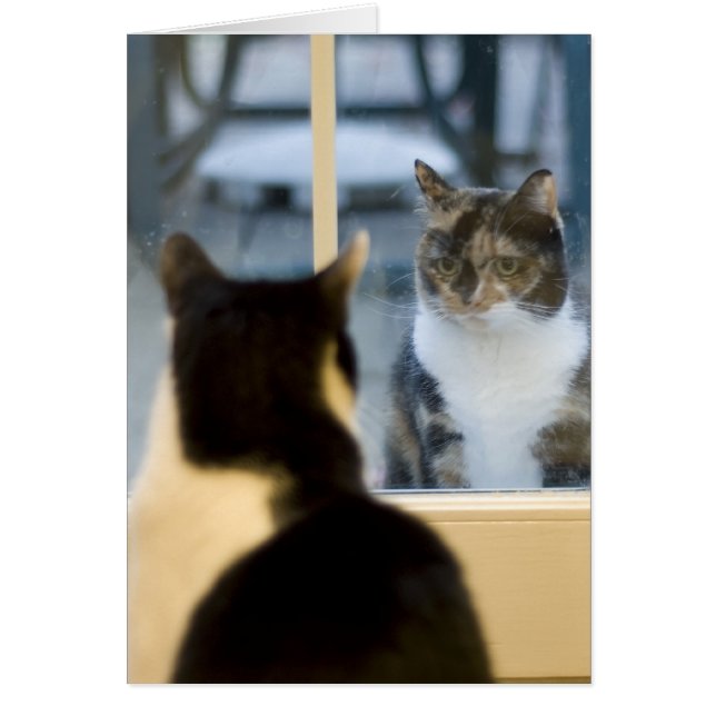 Cartão Lá Fora, Procurando (Frente)