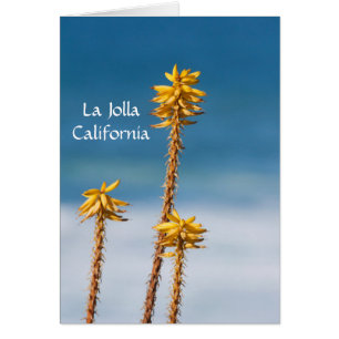 Cartão La Jolla Agave e Ocean