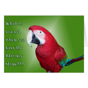 Cartão Lábios frios