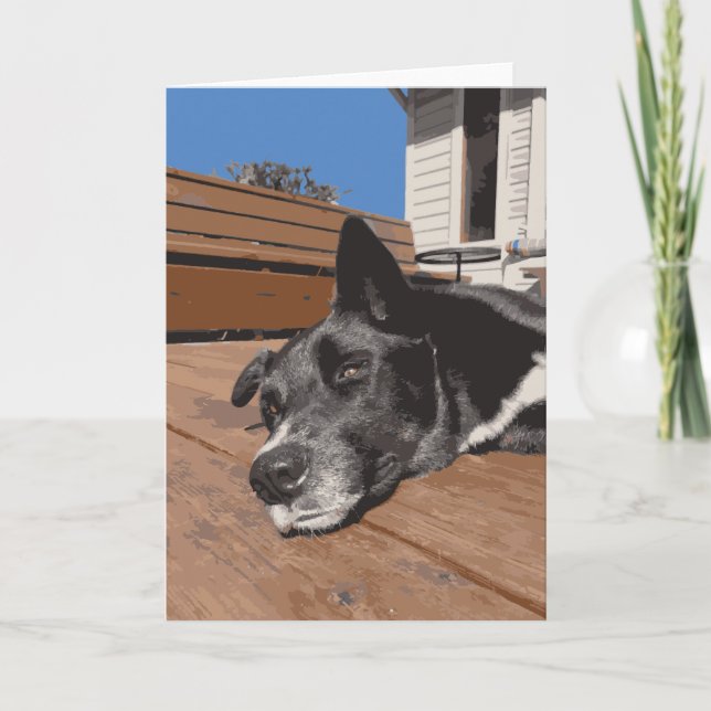 Cartão Laboratório de Roucos de Cachorro Seriamente Preto (Frente)