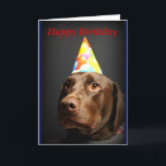 Cartão Laboratório do card~Chocolate do feliz aniversario<br><div class="desc">Cartão de aniversário para qualquer um que ama laboratórios do chocolate ou para qualquer um que deia vestir chapéus do cartão.</div>