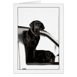 Cartão Laboratórios Pretos Inquisitivos