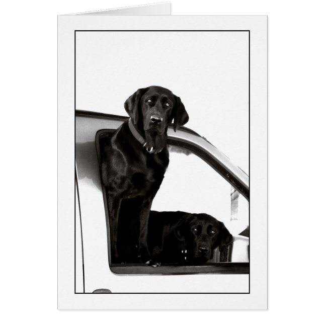 Cartão Laboratórios Pretos Inquisitivos (Frente)