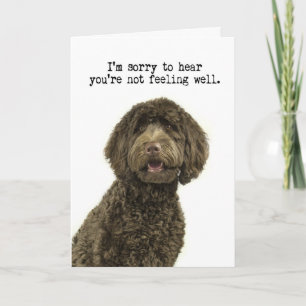 Cartão Labradoodle Consiga Bem Card