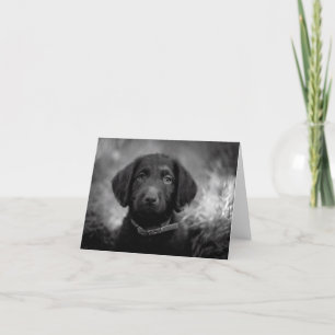 Cartão Labradoodle em B&W Notecard