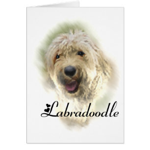 Cartão Labradoodle Lovers Gifts