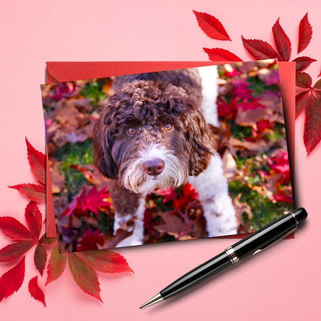 Cartão Labradoodle No Outono (Send autumn cheer with Duke the Labradoodle note card.)