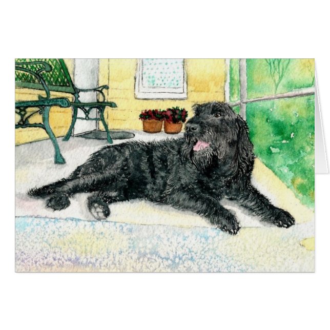 Cartão Labradoodle preto (Frente Horizontal)