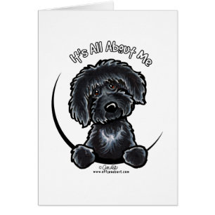 Cartão Labradoodle preto IAAM simples