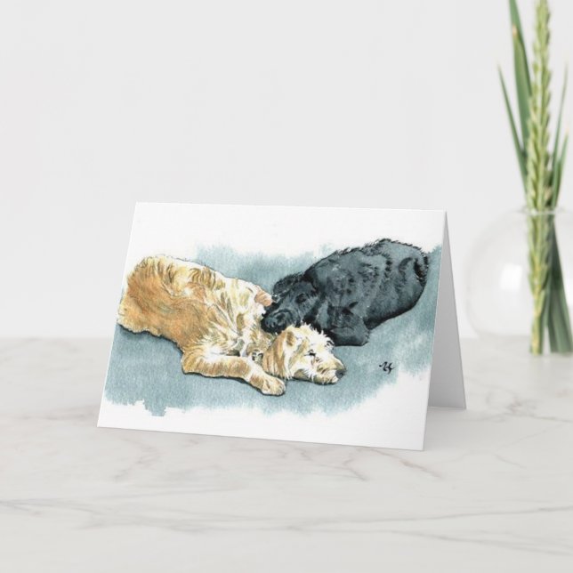 Cartão Labradoodles no Love Greeting Card (Frente)