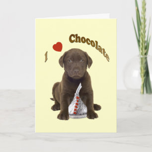 Cartão Labrador Chocolate - Eu Amo Beijos de Chocolate