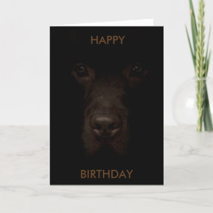 Cartão Labrador Dog Birthday Card