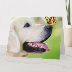 Cartão Labrador E Travesseiro decorativo De Borboleta