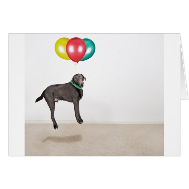 Cartão Labrador flutuante (Frente Horizontal)