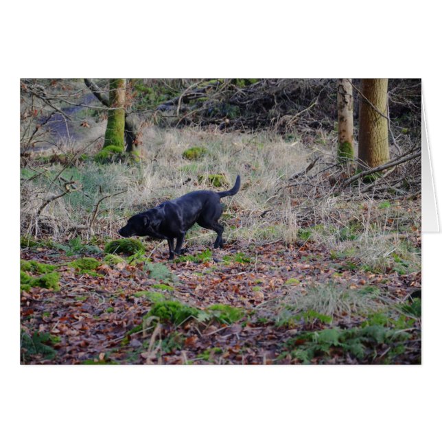 Cartão Labrador Negro (Frente Horizontal)