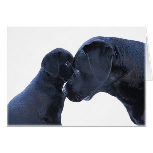 Cartão Labrador Puppy Love - Dog Mãe Pai - Black Lab