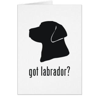 Cartão Labrador retriever
