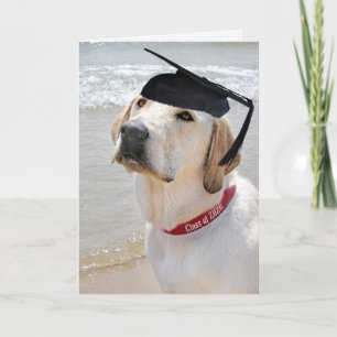 Cartão Labrador Retriever 2026 Com Chapéu de Formatura