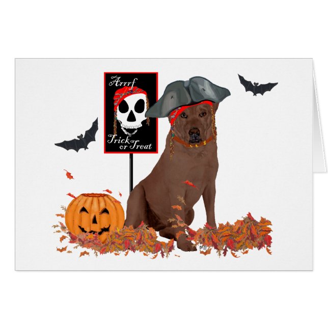 Cartão Labrador Retriever Marrom Pirata (Frente Horizontal)