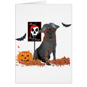 Cartão Labrador Retriever Preto Pirata