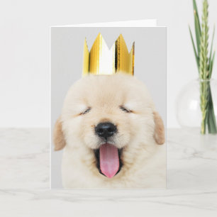 Cartão Labrador retriever WITH CROWN Folded Greeting Card