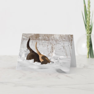 Cartão Labrador Retrievers Cavando Em Saudação À Neve