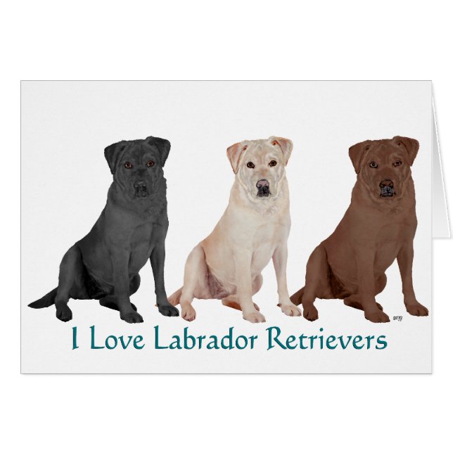 Cartão Labradores Retrievers - 3 Cores para Amar (Frente Horizontal)